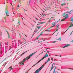 Meet your Posher, Lilly